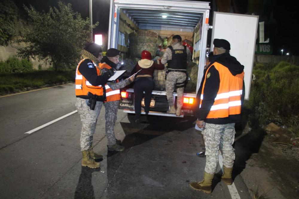 Inicia plan para controlar venta de pinabete en Quetzaltenango 