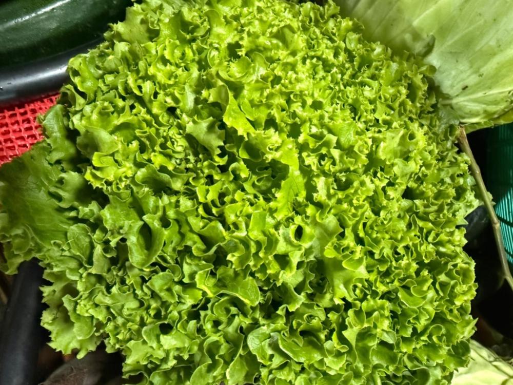 Estos son los precios de verduras en La Democracia