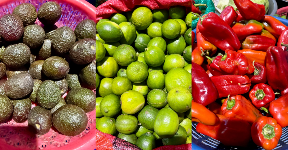 Limón, papa y aguacate: estos son los precios en La Democracia