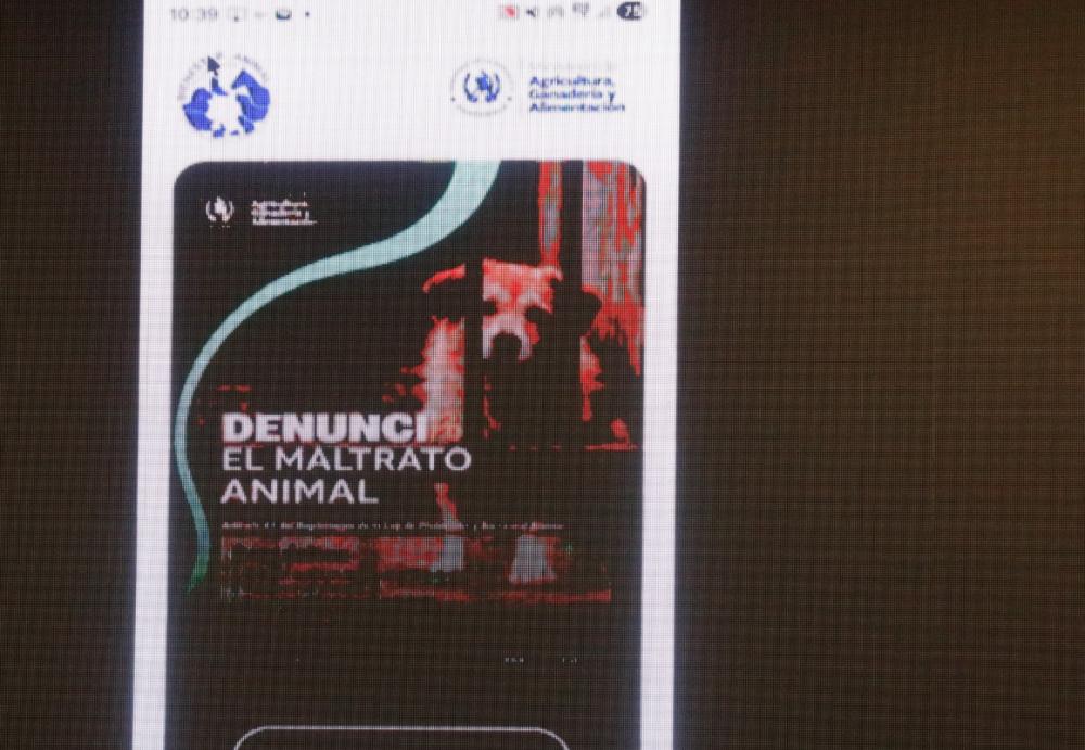 MAGA lanza UBAApp para denunciar maltrato animal desde el celular