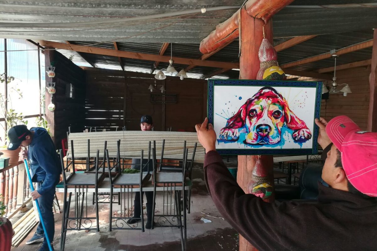 Abrirán primer restaurante para perros en Xela