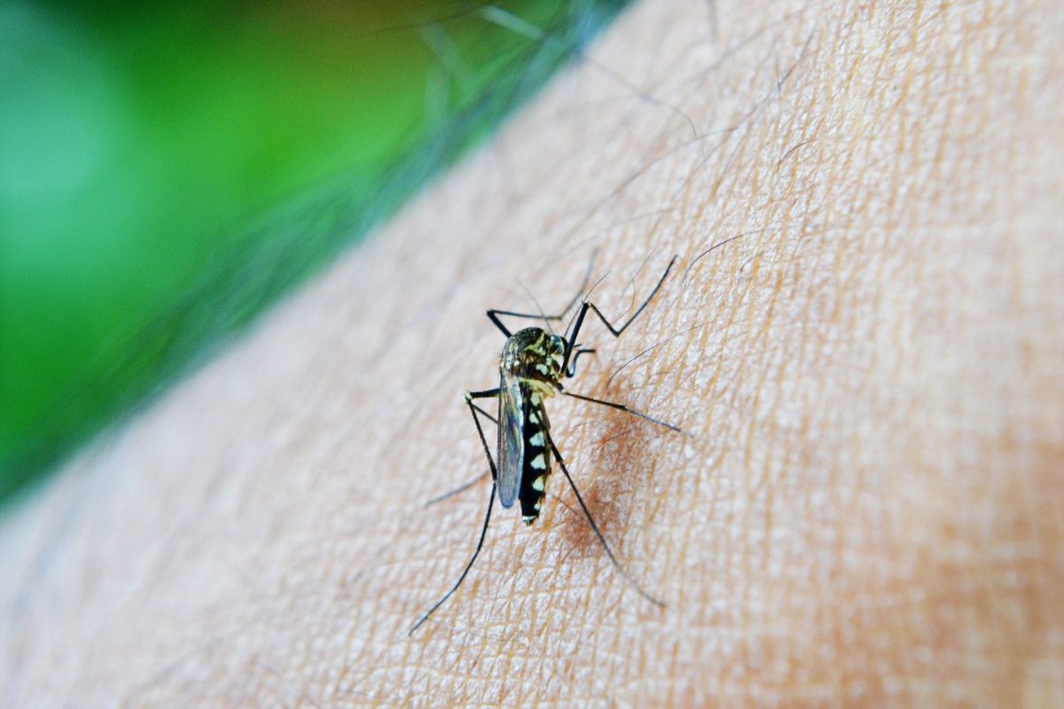 Suman 125 casos de dengue en el departamento