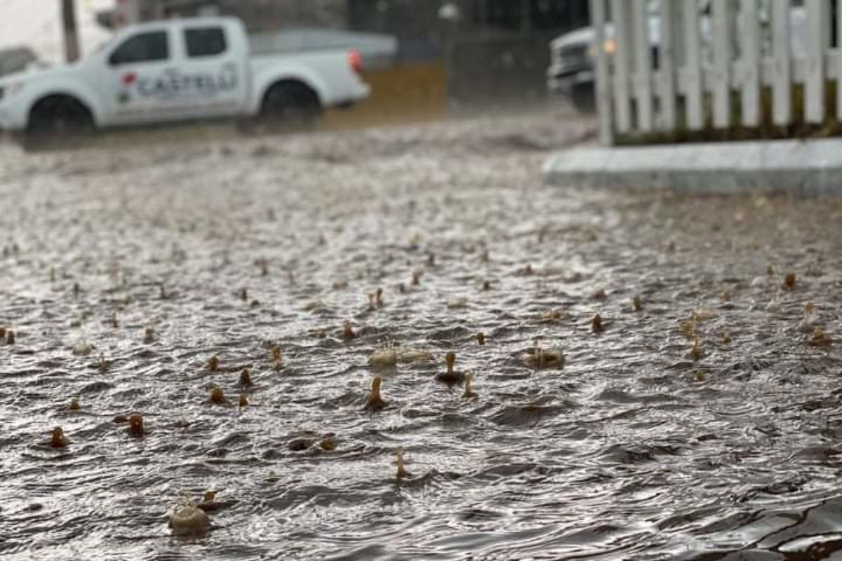 Basura en las calles agrava inundaciones en Xela