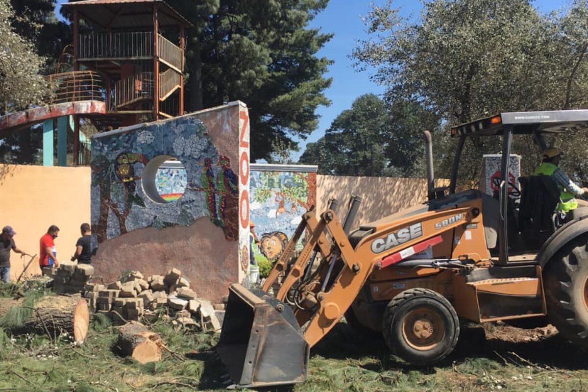 Denuncian que al talar árboles, destruyeron un mosaico hecho por voluntarios