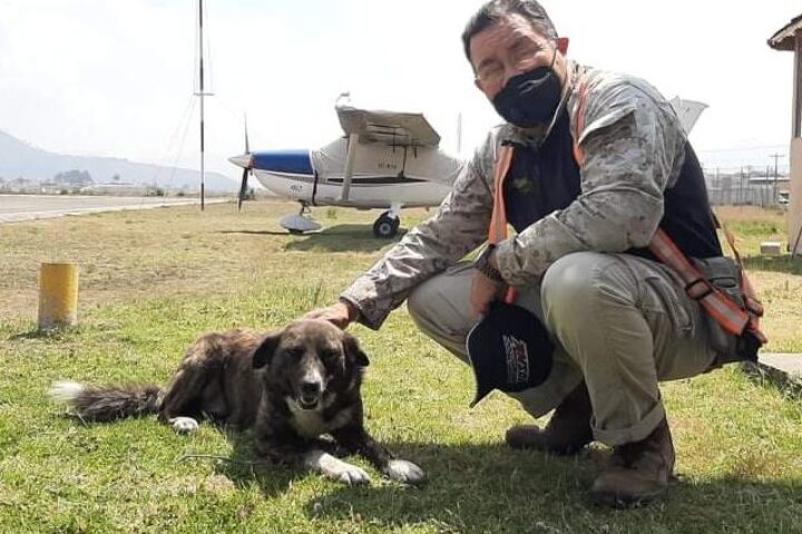 “Seneca”: la perra adoptada por el aeropuerto Los Altos