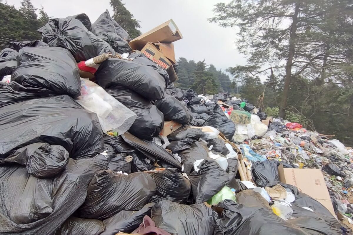 Enfermedades que puede provocar la acumulación de basura en una ciudad