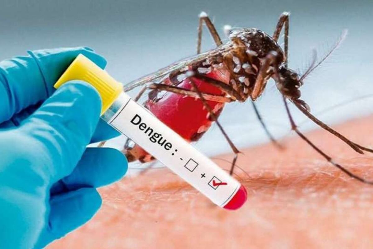 Reportan los primeros casos de dengue en Quetzaltenango