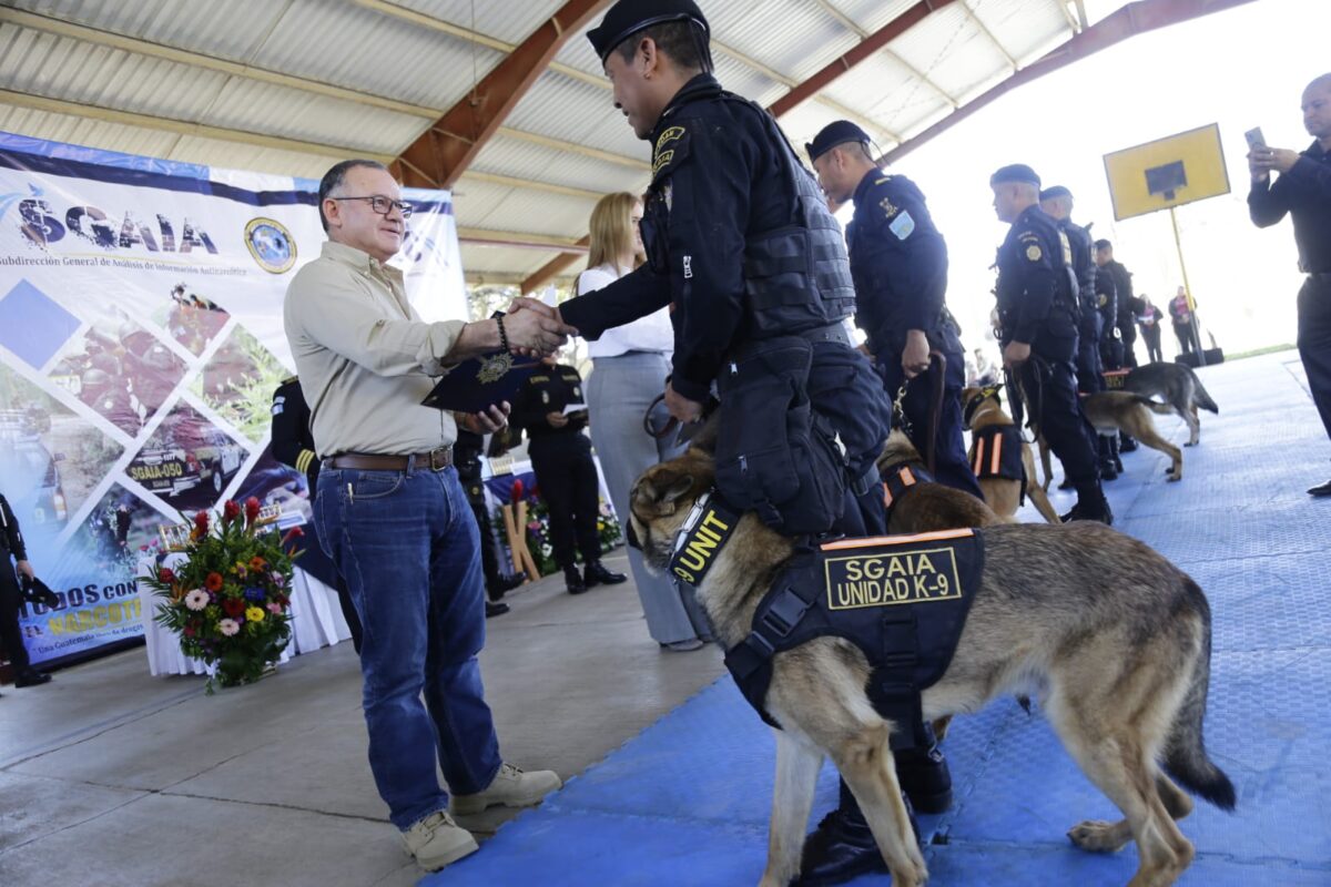 Perros reciben certificados para detectar drogas y armas