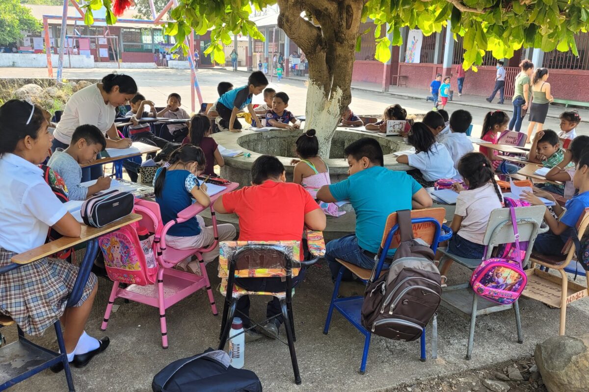 Esta es la historia de 33 niños que, a falta de un aula digna, reciben clases alrededor de un árbol