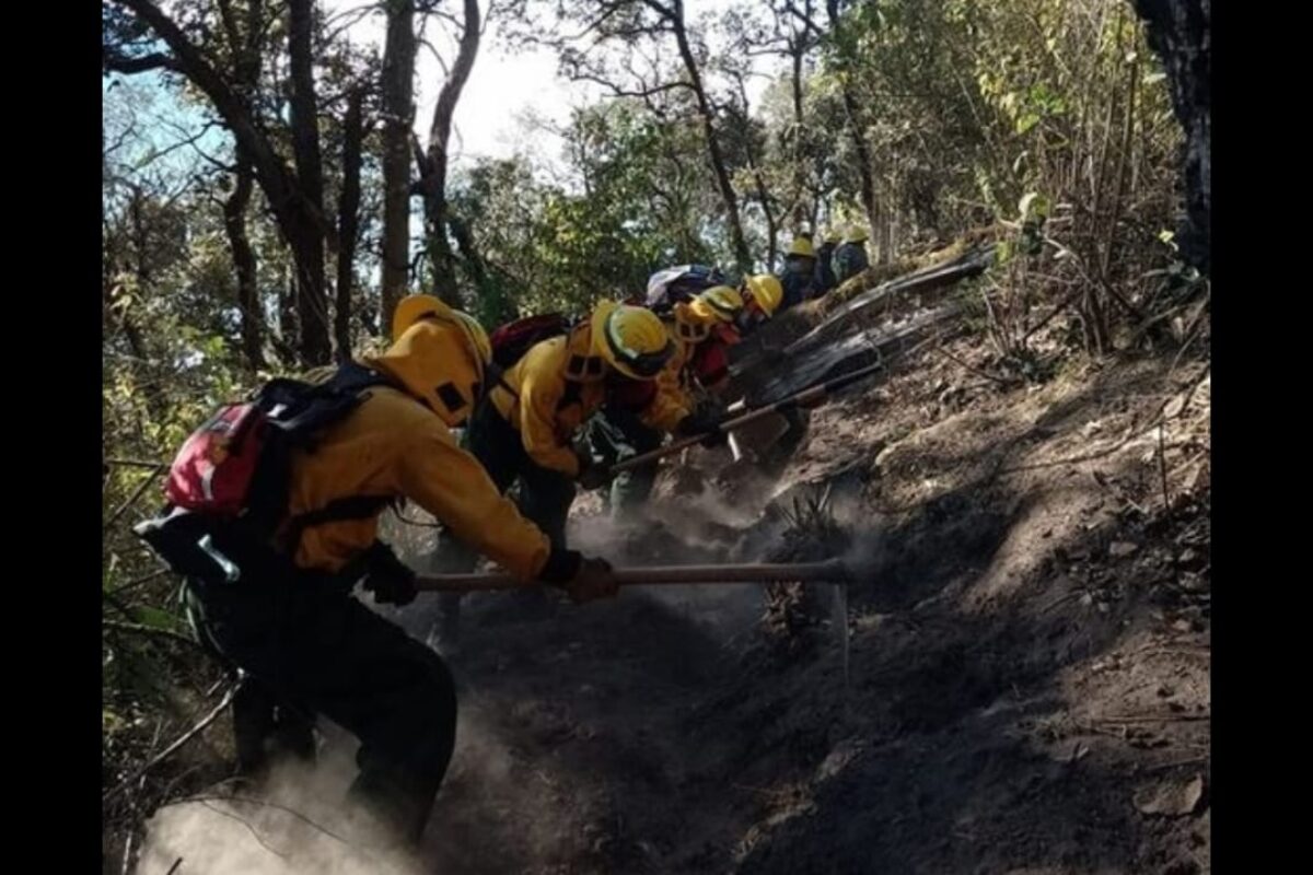 Conred informa que incendio forestal en volcán Santa María está controlado y liquidado