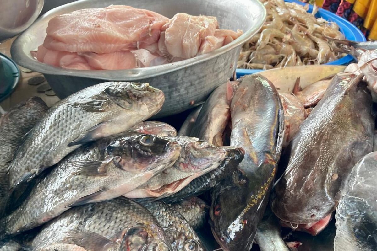 Sondeo: Conoce los precios del pescado