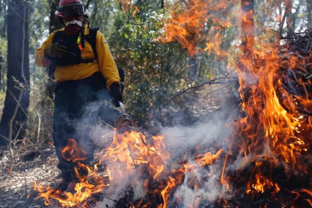Más de 3 mil hectáreas arrasadas por incendios forestales en Guatemala durante la temporada de incendios