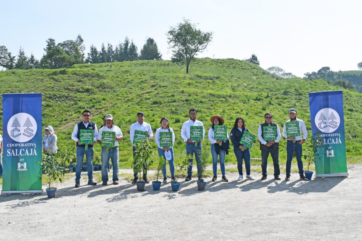Cooperativa Salcajá lidera actividad de reforestación en pro del medio ambiente y la responsabilidad social