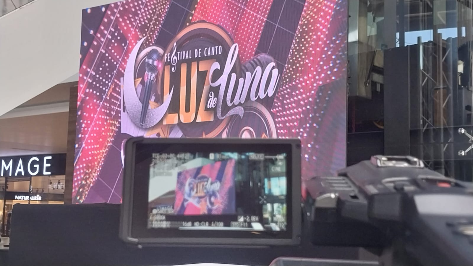 Esto es lo que debes saber para asistir al casting del Festival de