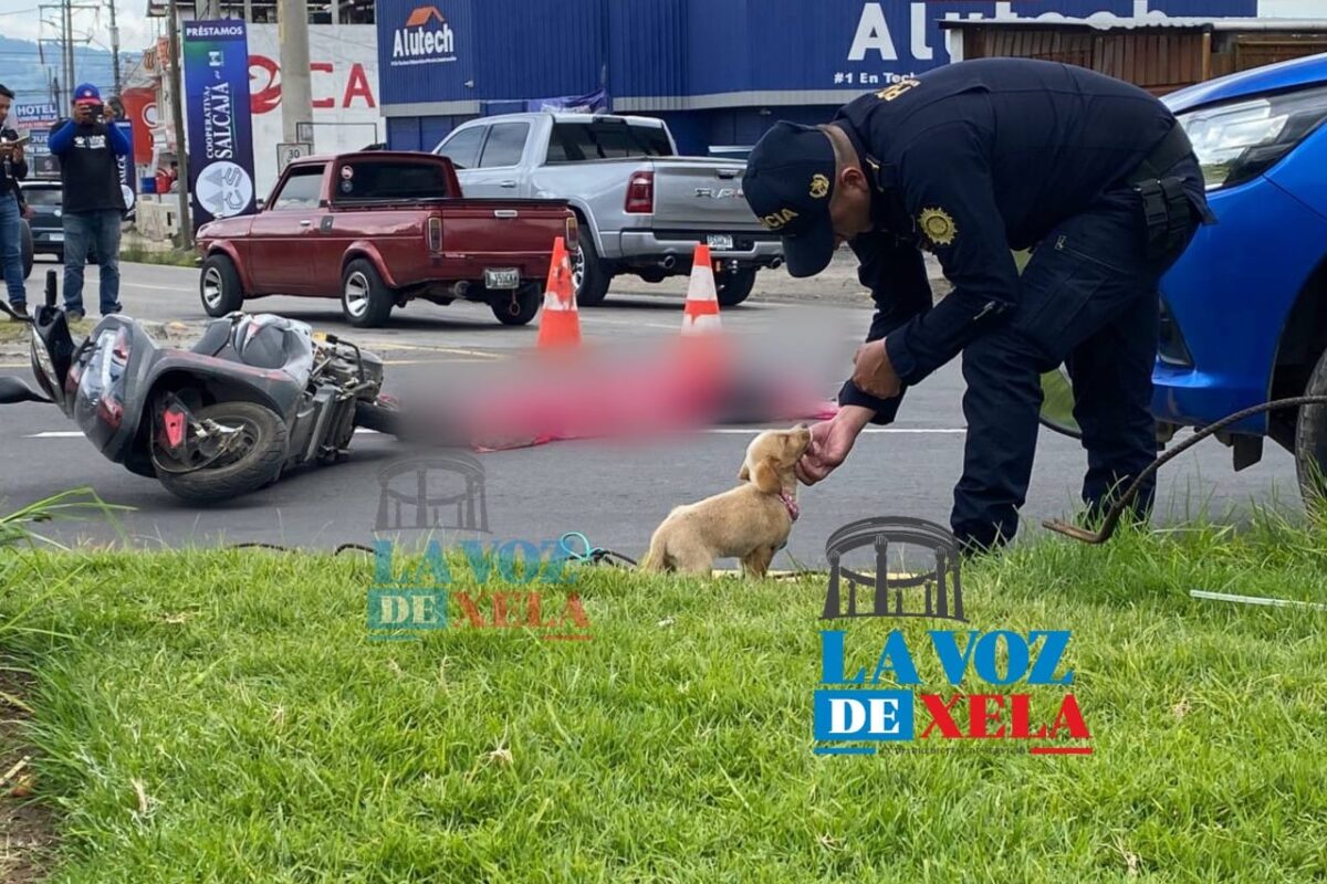 Motorista fallece en La Rotonda Tecún Umán, pero su mascota sobrevive.