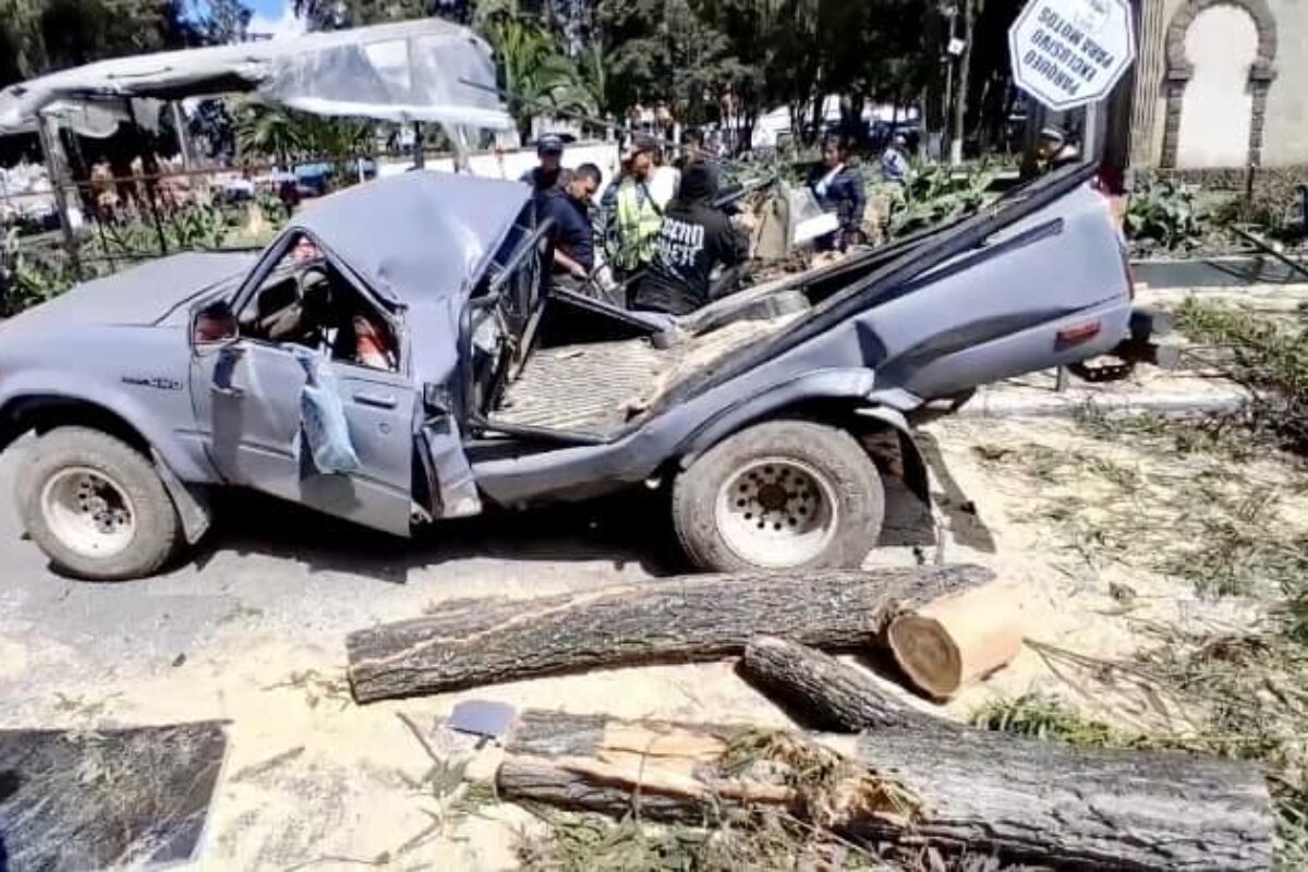 Árbol colapsa en el Parque a Benito Juárez  durante tala, dejando daños en vehículos y ventas