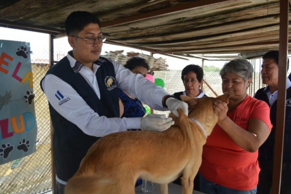 Canceladas las jornadas de vacunación contra la rabia en Quetzaltenango