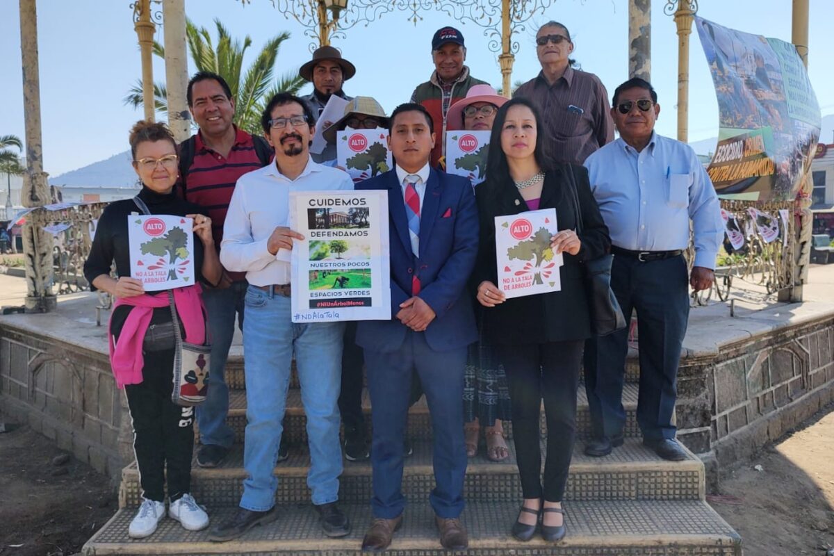 Vecinos: Ministerio de Cultura ya está investigando la tala en Benito