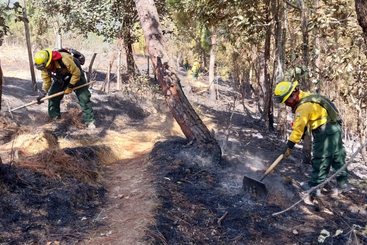 632 incendios arrasan miles de hectáreas en la temporada actual