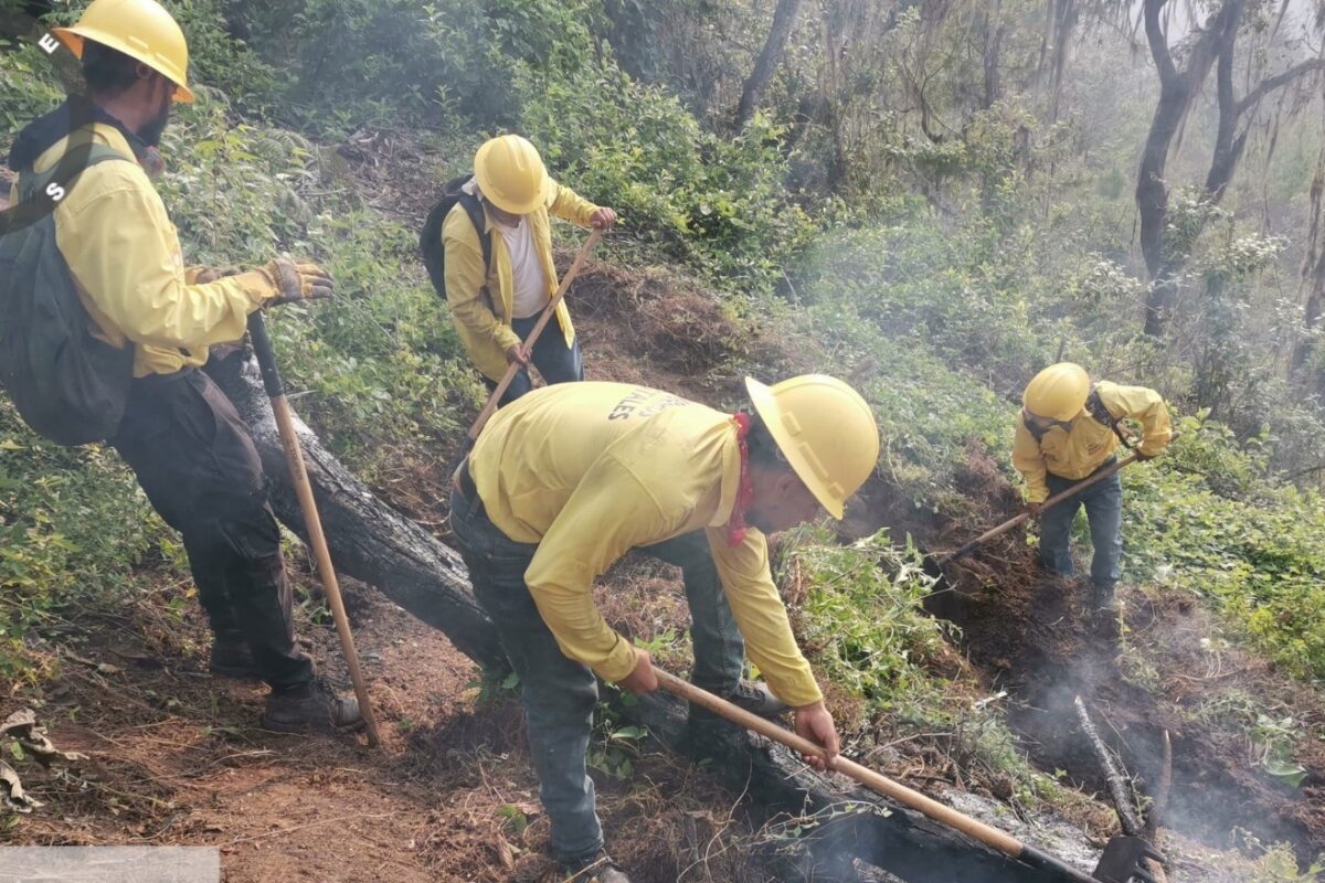 Guatemala enfrenta la peor temporada de incendios de la década: Más de 41 mil hectáreas afectadas
