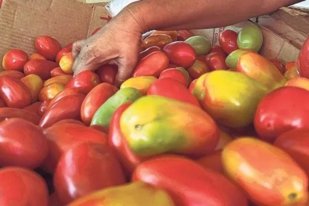 Localizan sin vida a vendedor de tomate en Coatepeque; sospechan de ataque con arma blanca